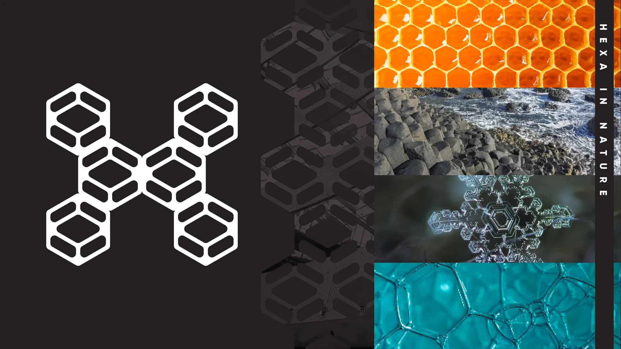 Hexa, Logo & Symbol